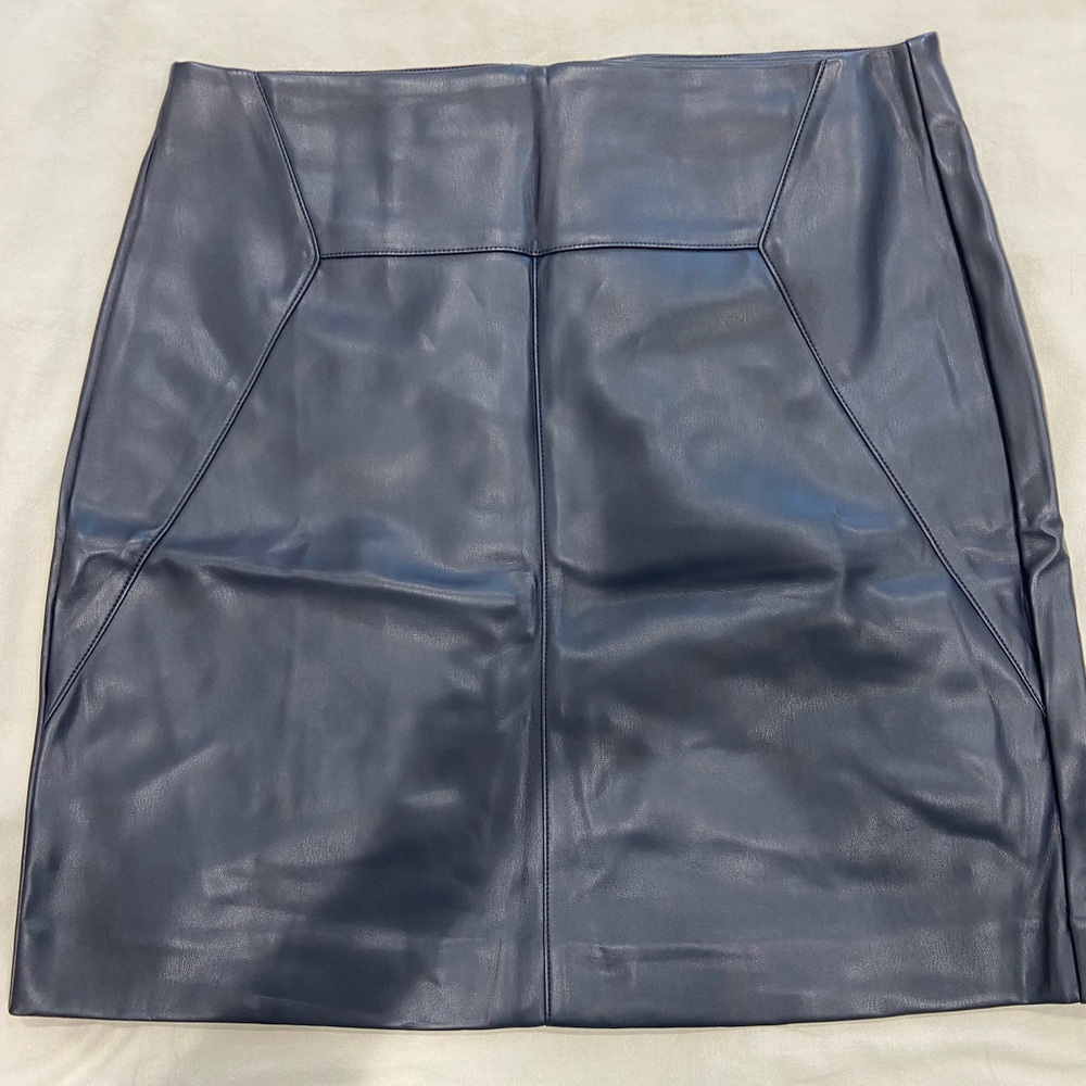 Ann Taylor skirt